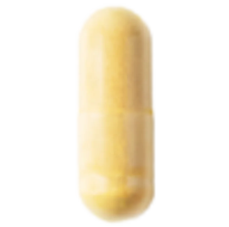 Sakara The Foundation Adaptogenic B Complex supplement shown in yellow capsule format.