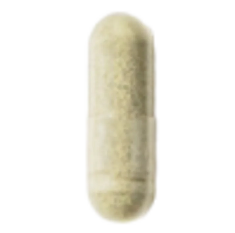 Sakara The Foundation Complete Probiotic Formula supplement shown in light green capsule format.