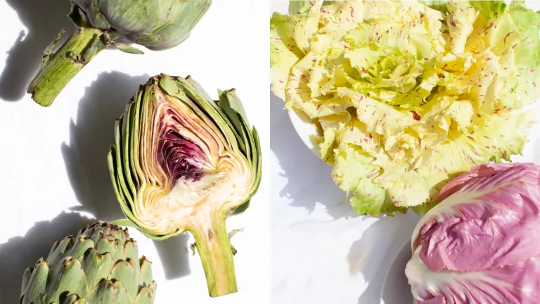 Close-up of halved artichokes and sliced cabbage arranged on a white background with shadows.