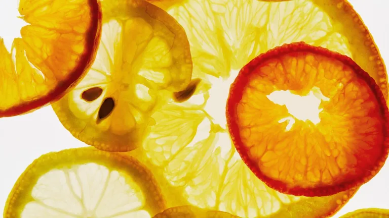 Backlit slices of citrus including lemon and orange arranged in overlapping layers.