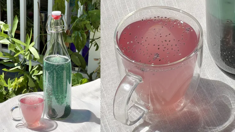 Clear bottle and mug of pink beverage with visible soaked chia seeds in sunlight.